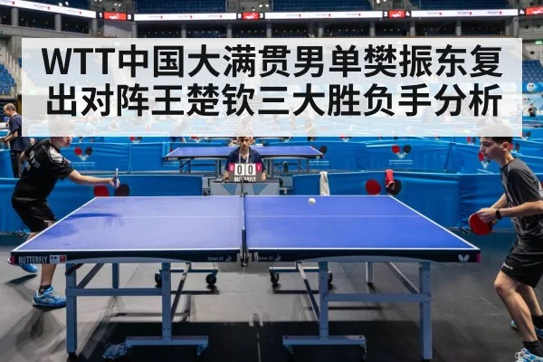 table tennis match indoor arena